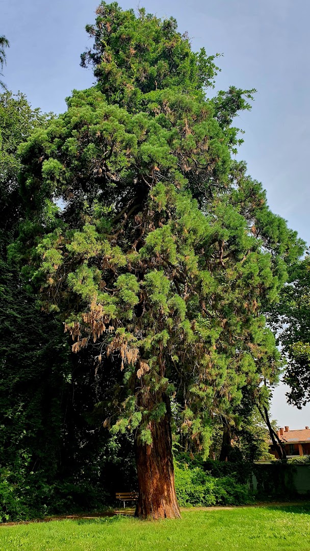 Parco Sottocasa