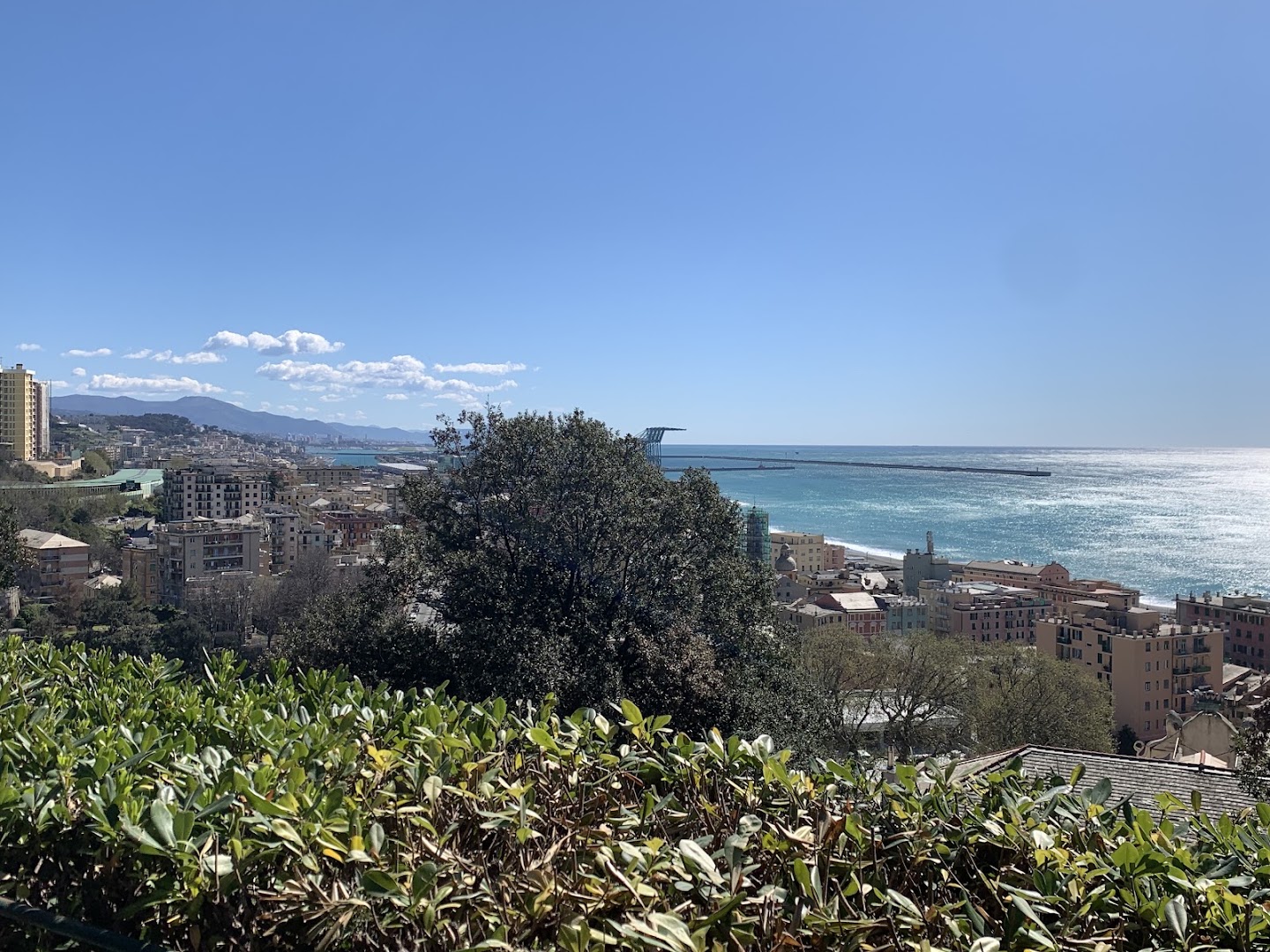 Parco Storico Villa Duchessa di Galliera