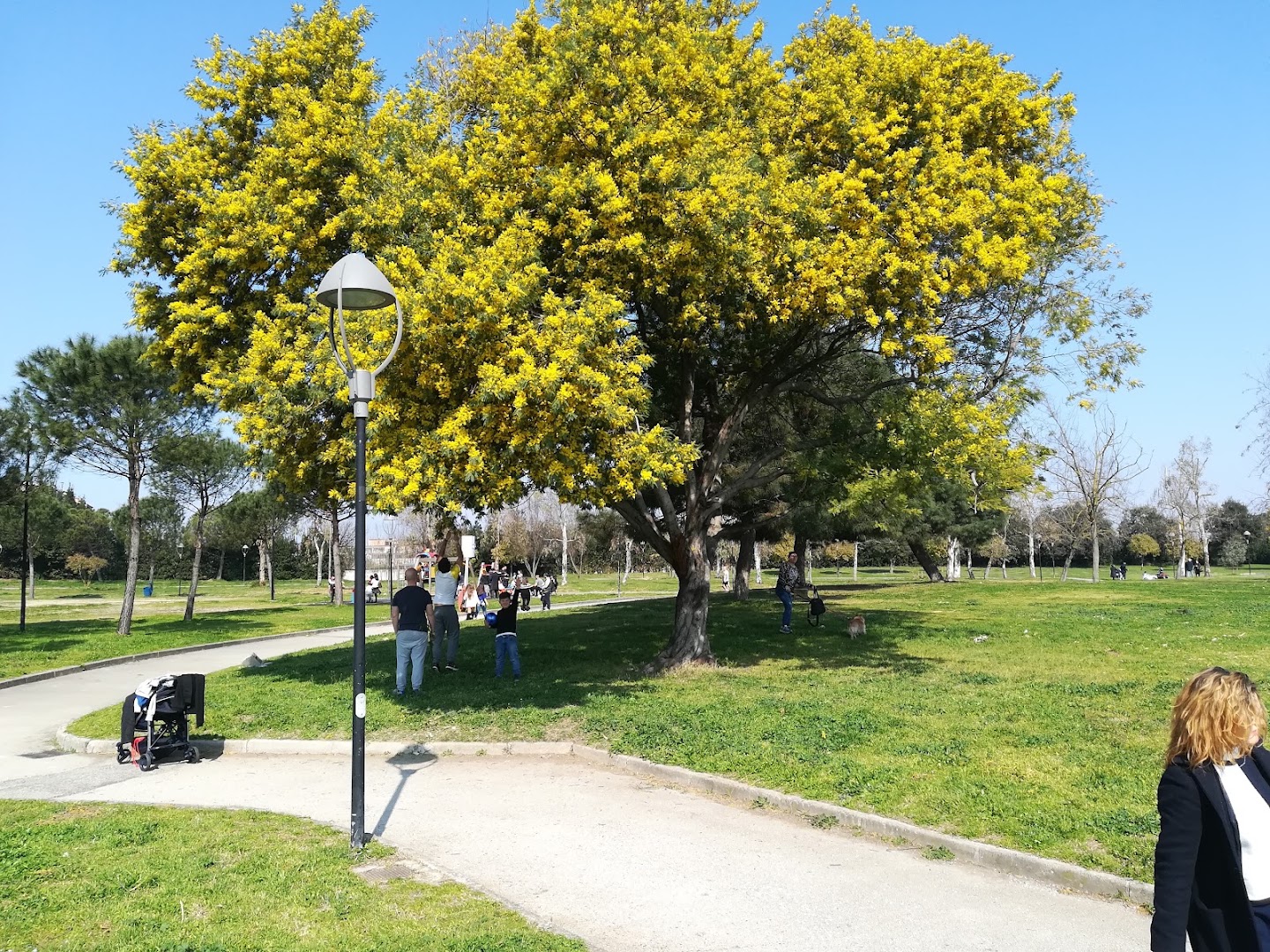 Parco Taglia