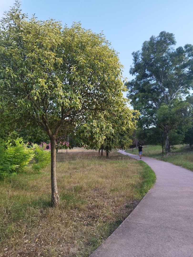 Parco Taglia