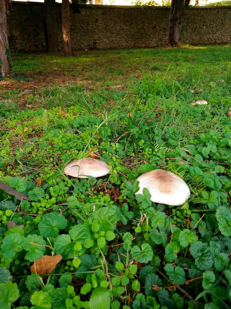 Parco Taverna