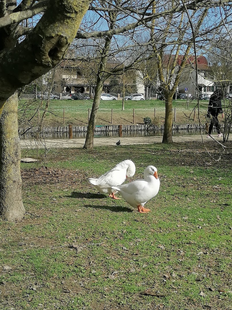 Parco Teodorico