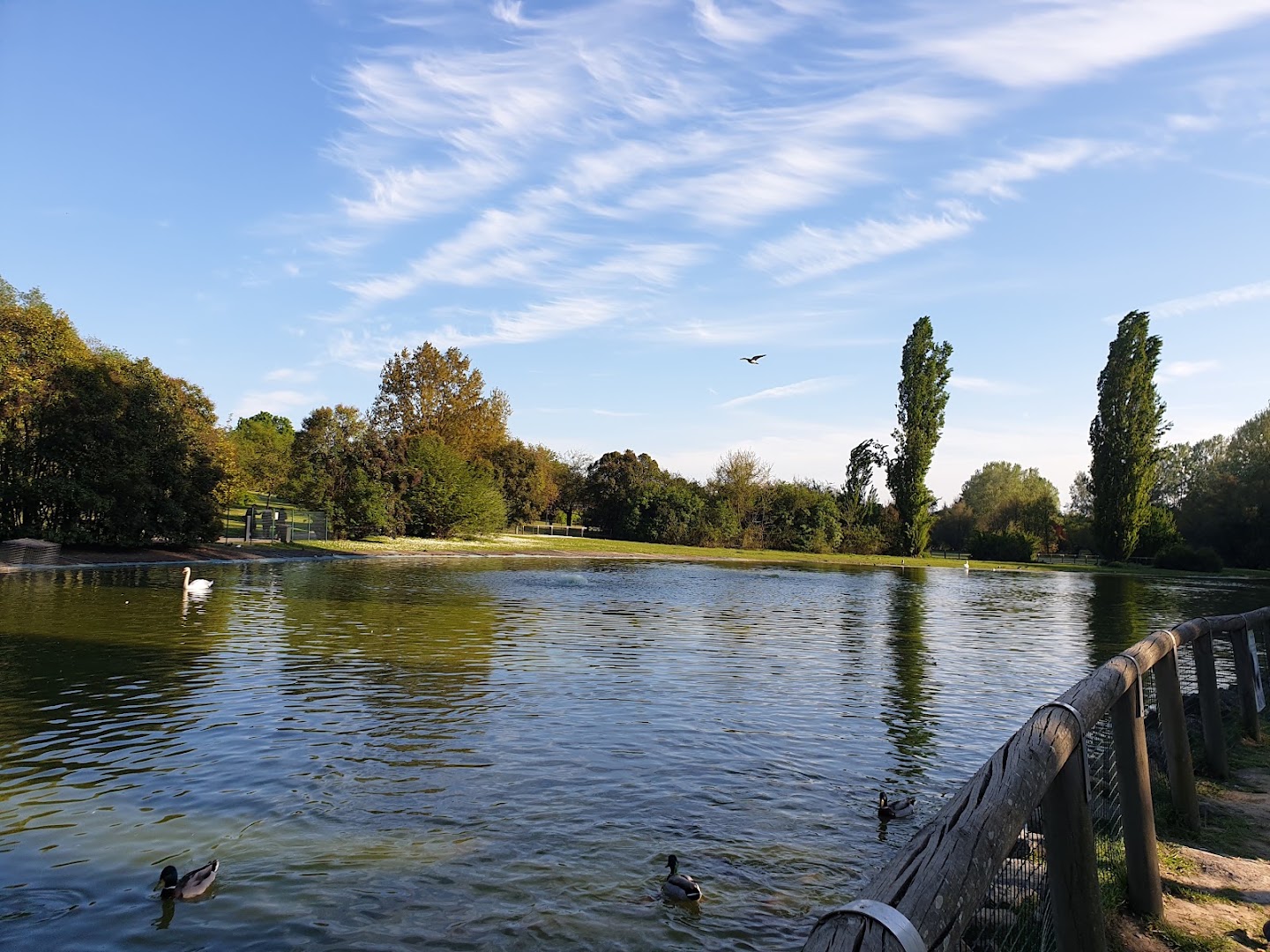 Parco Urbano Franco Agosto, Forlì