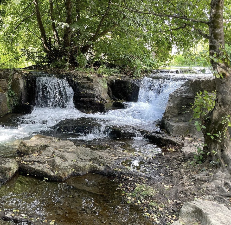 Parco Valle del Treja