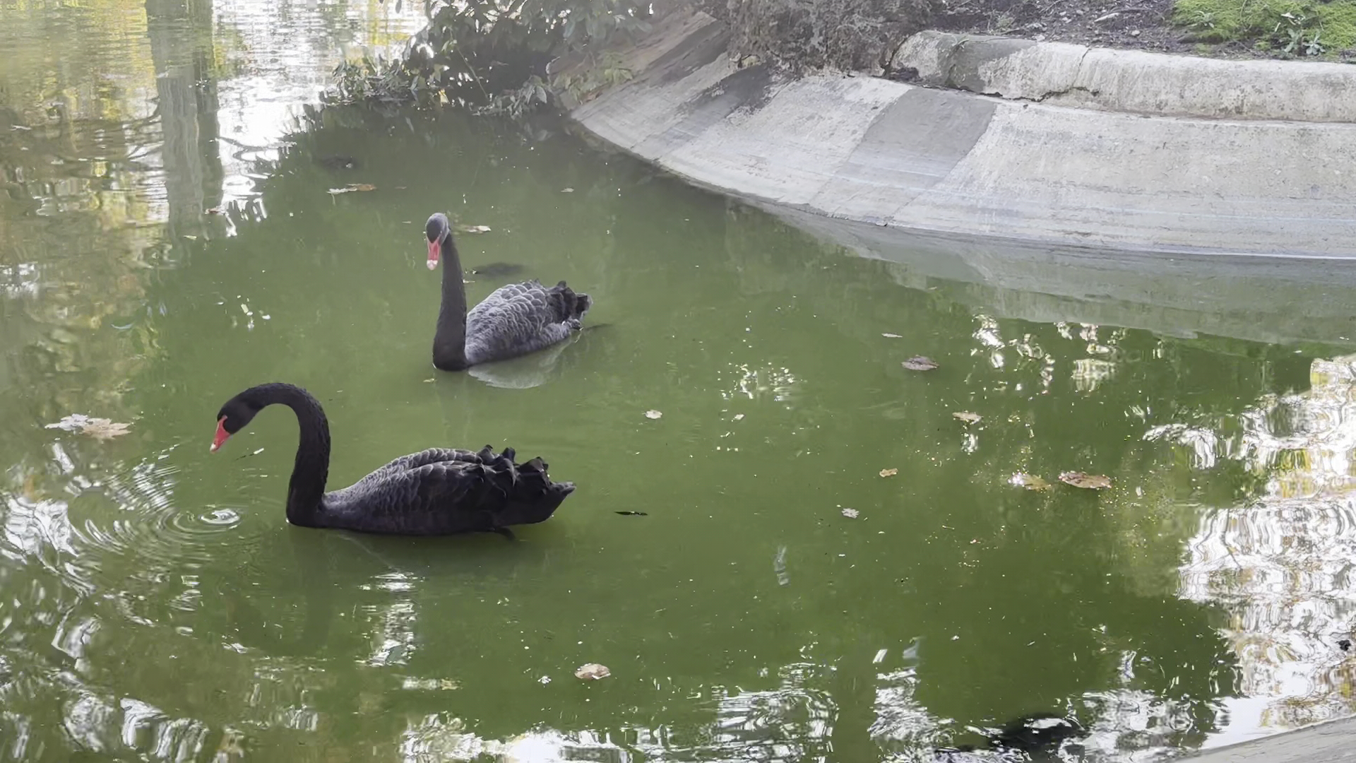 Parco Villa Gabrieli
