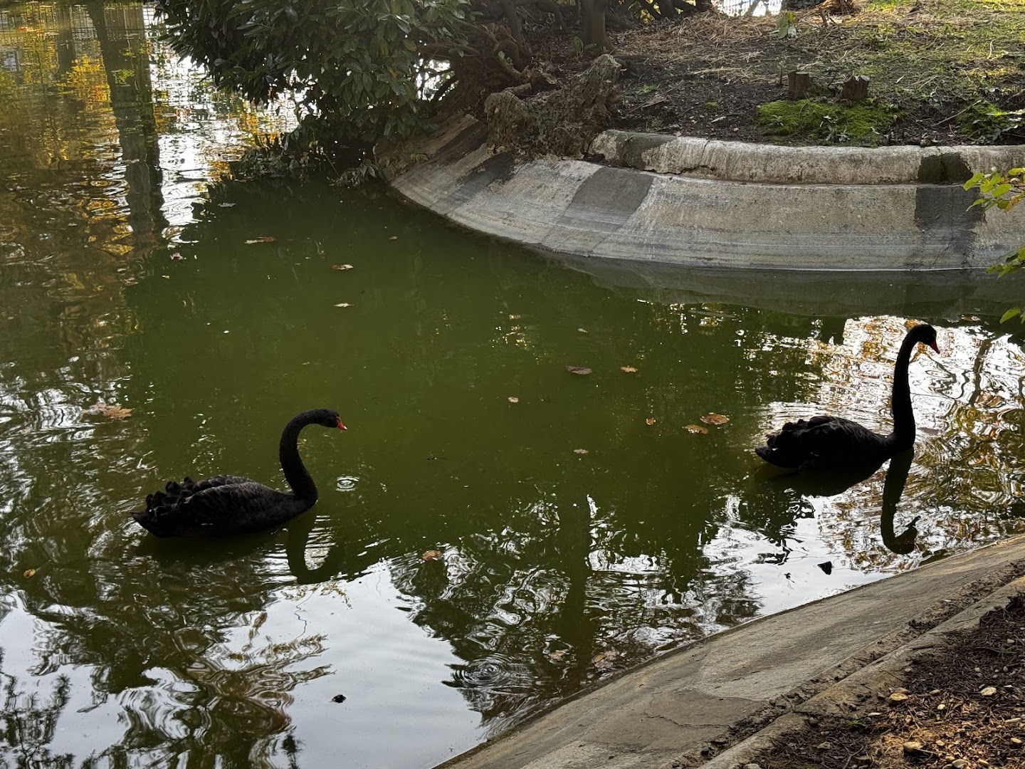 Parco Villa Gabrieli