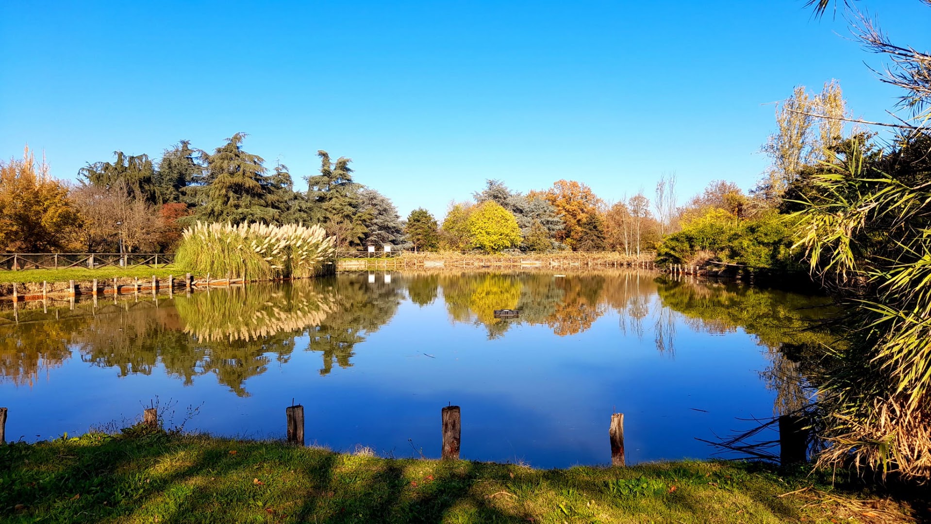 Parco Villa Gandini