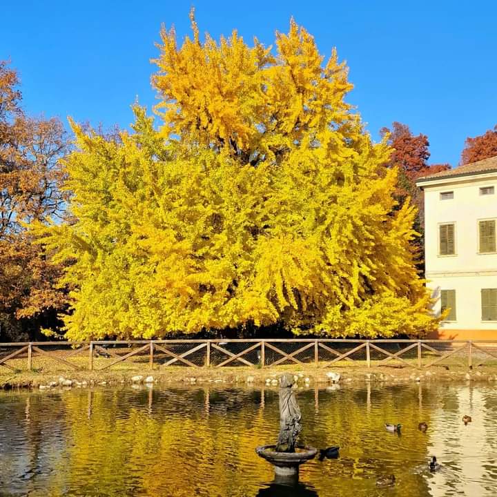 Parco Villa Gandini