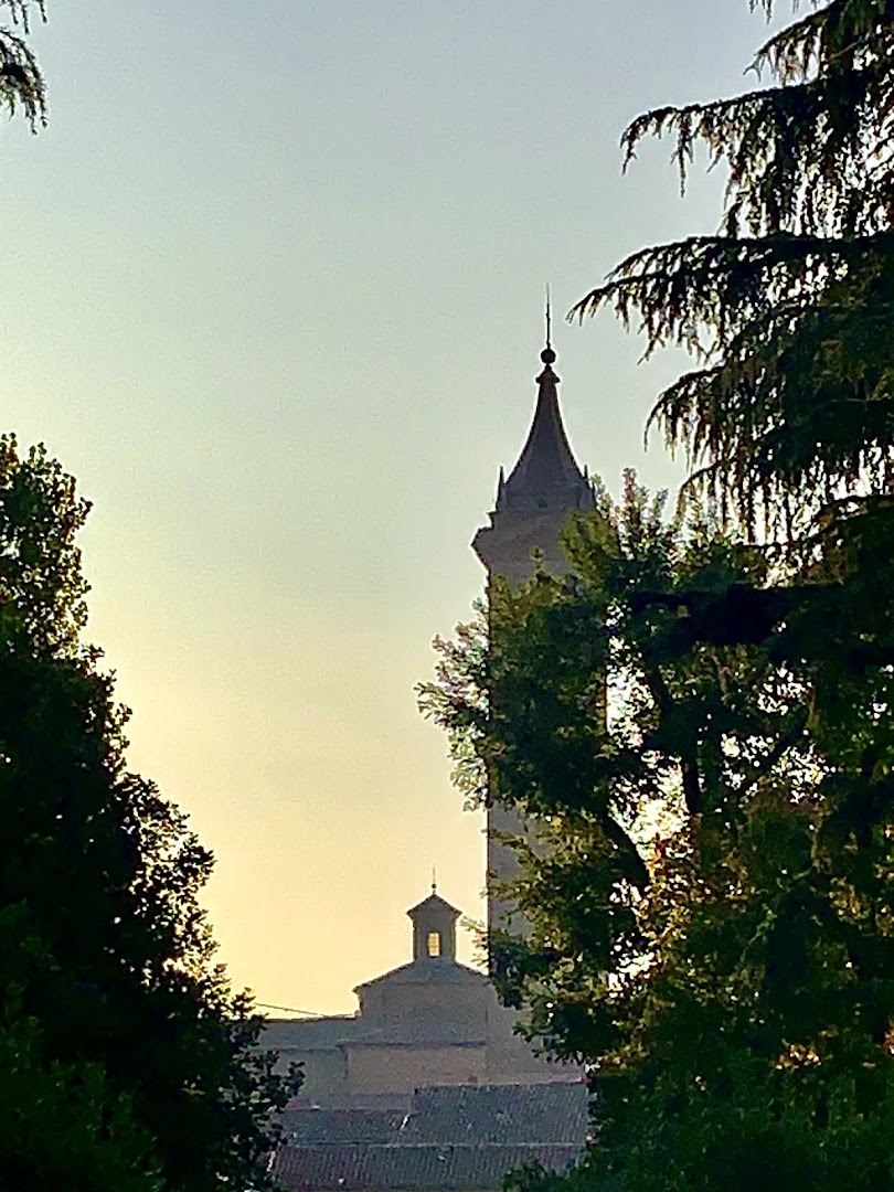Parco Villa Maria/Bosco delle streghe, Medicina