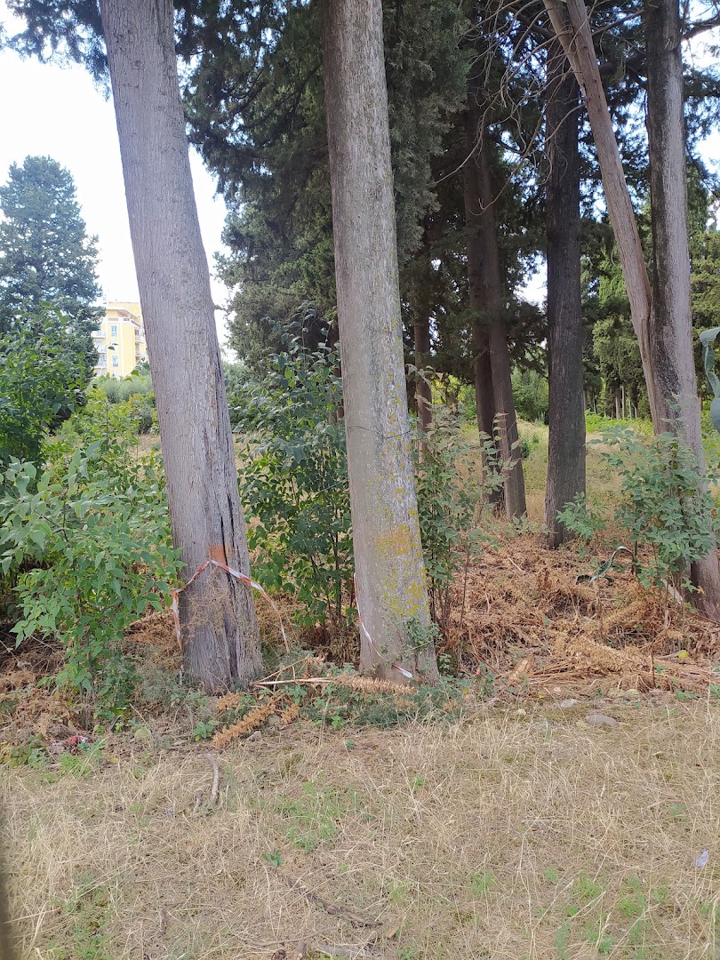 Parco Villa Turrisi