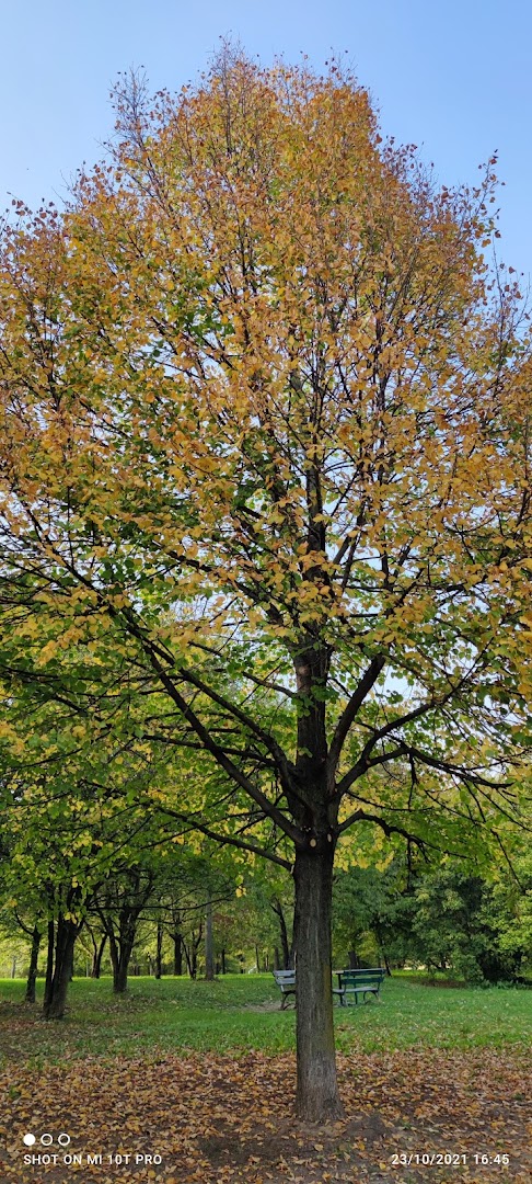 Parco Vincenzo Tanara