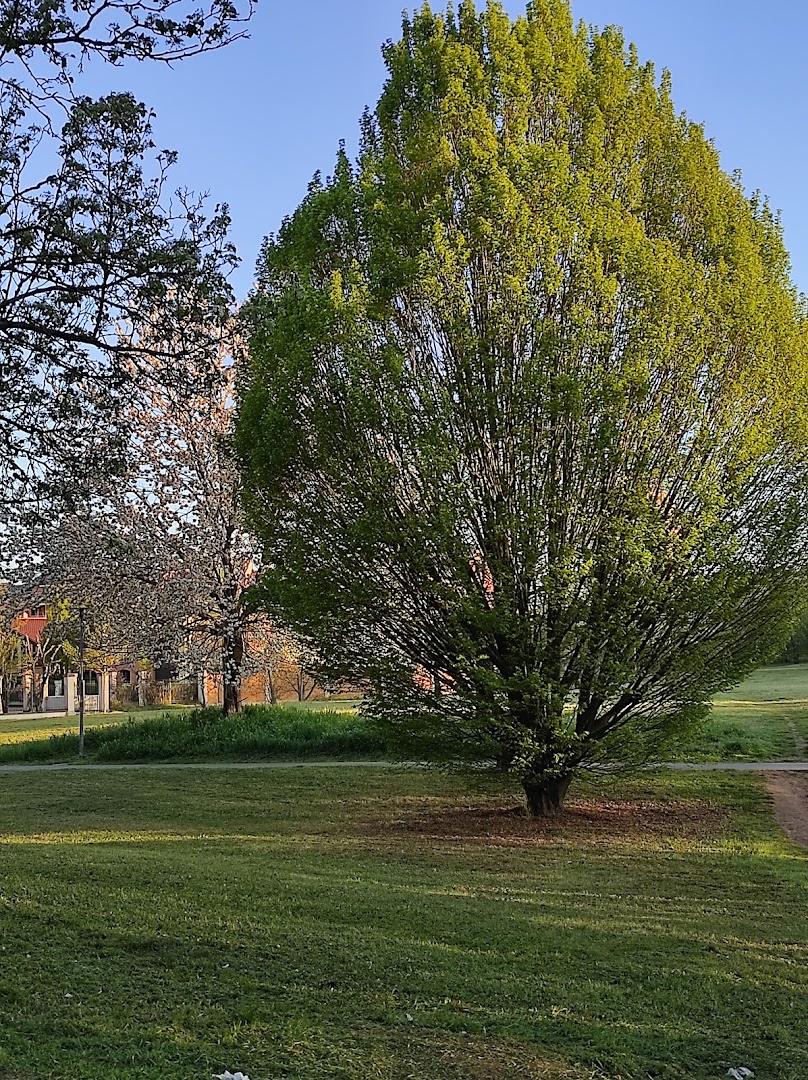 Parco Vincenzo Tanara