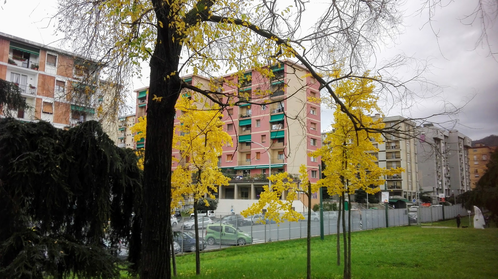 Parco XXV Aprile