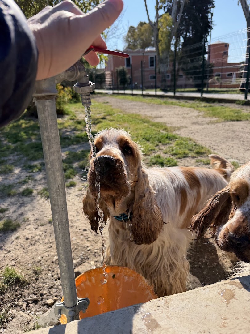 Parco Yuri Spigarelli