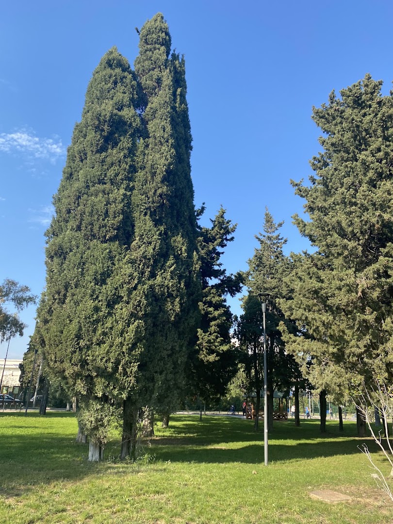 Parco Yuri Spigarelli