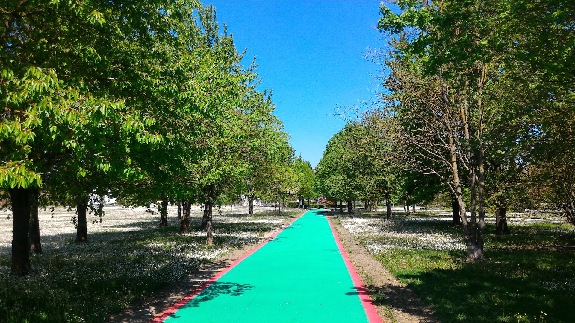 Parco Zanfurlina 2