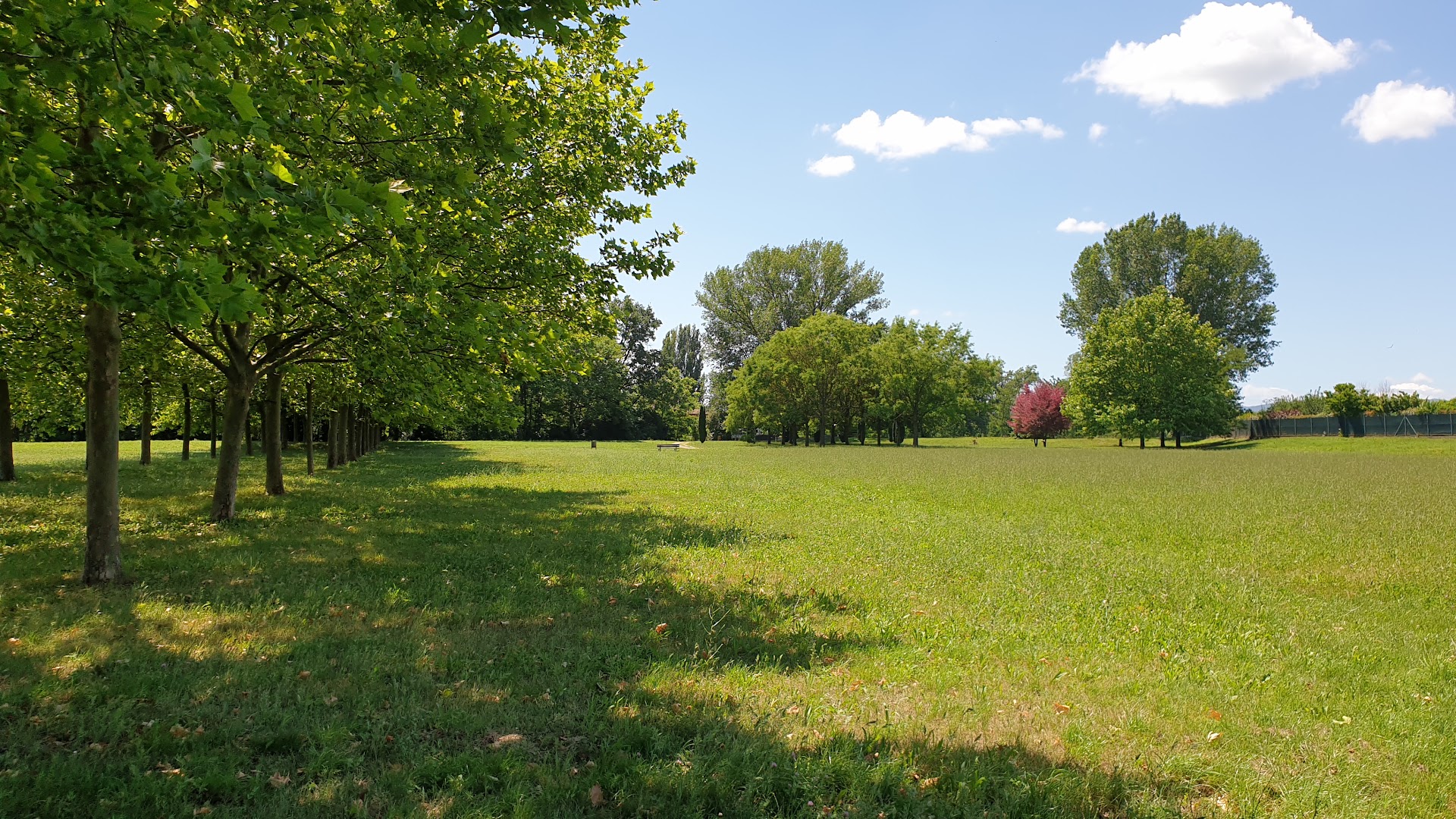 Parco Zanfurlina 2
