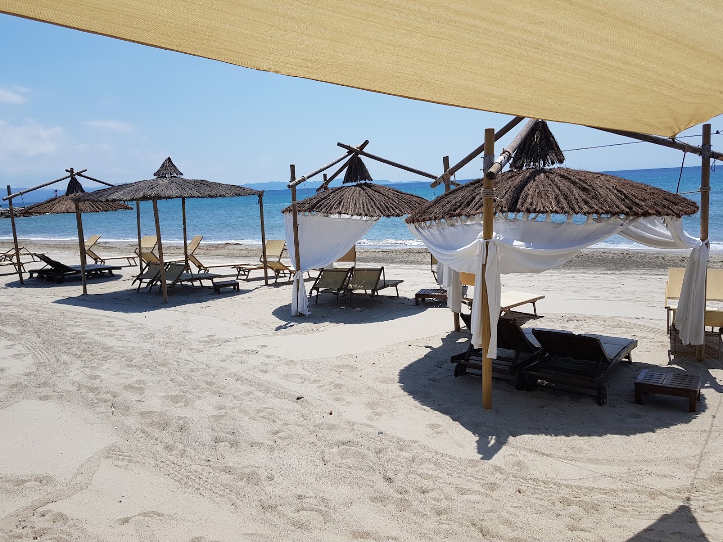 Pascià Glam Dog Beach
