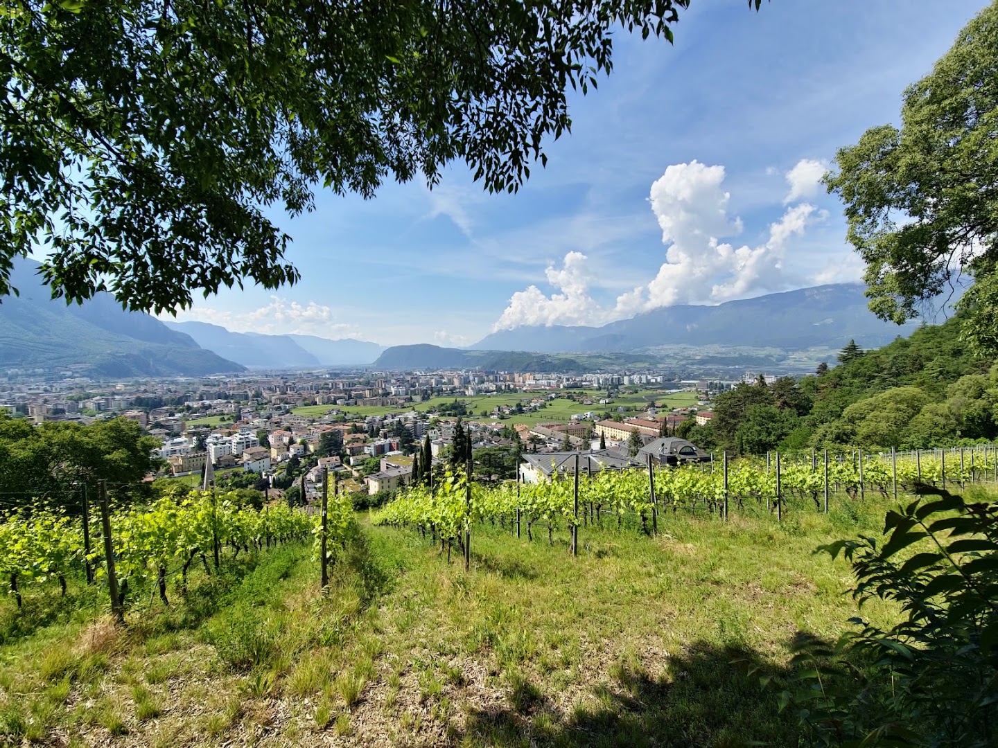 Passeggiata del Guncina