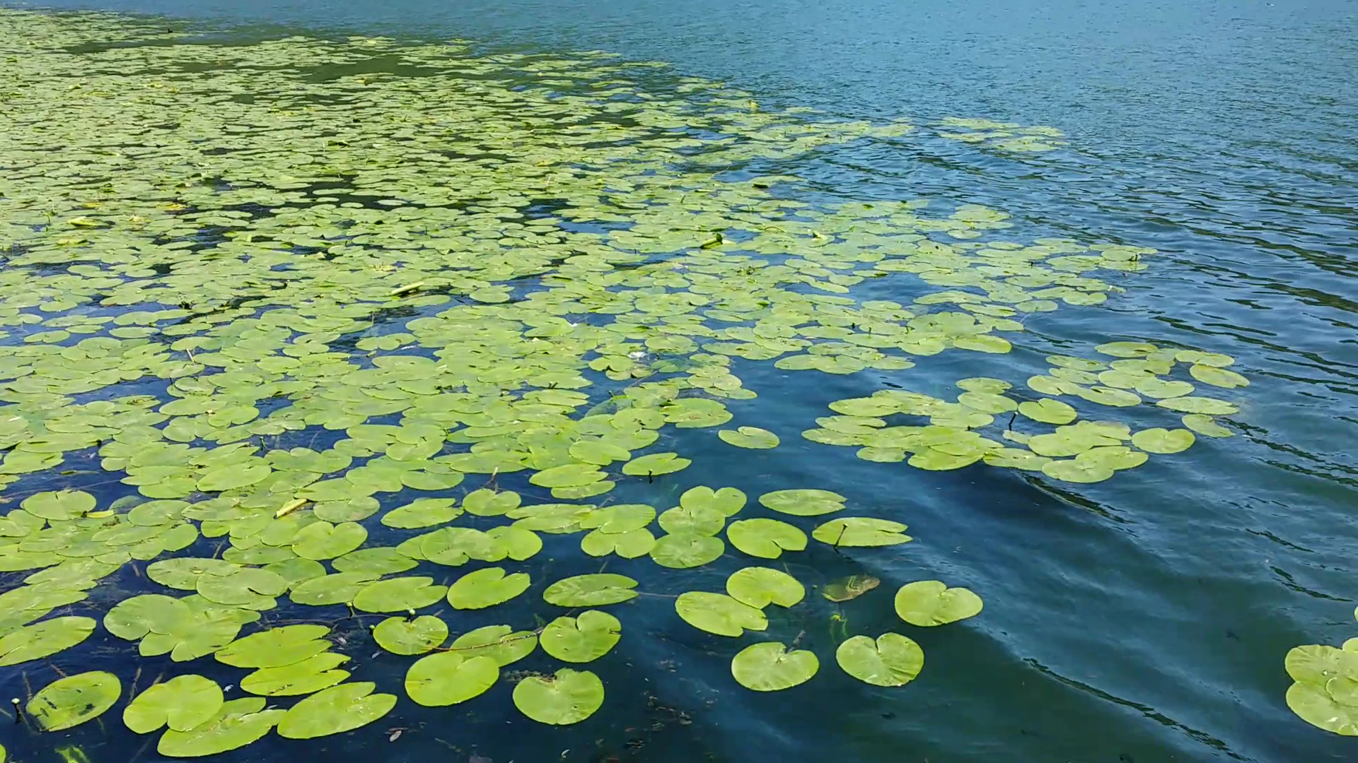Passeggiata Lago di Lago