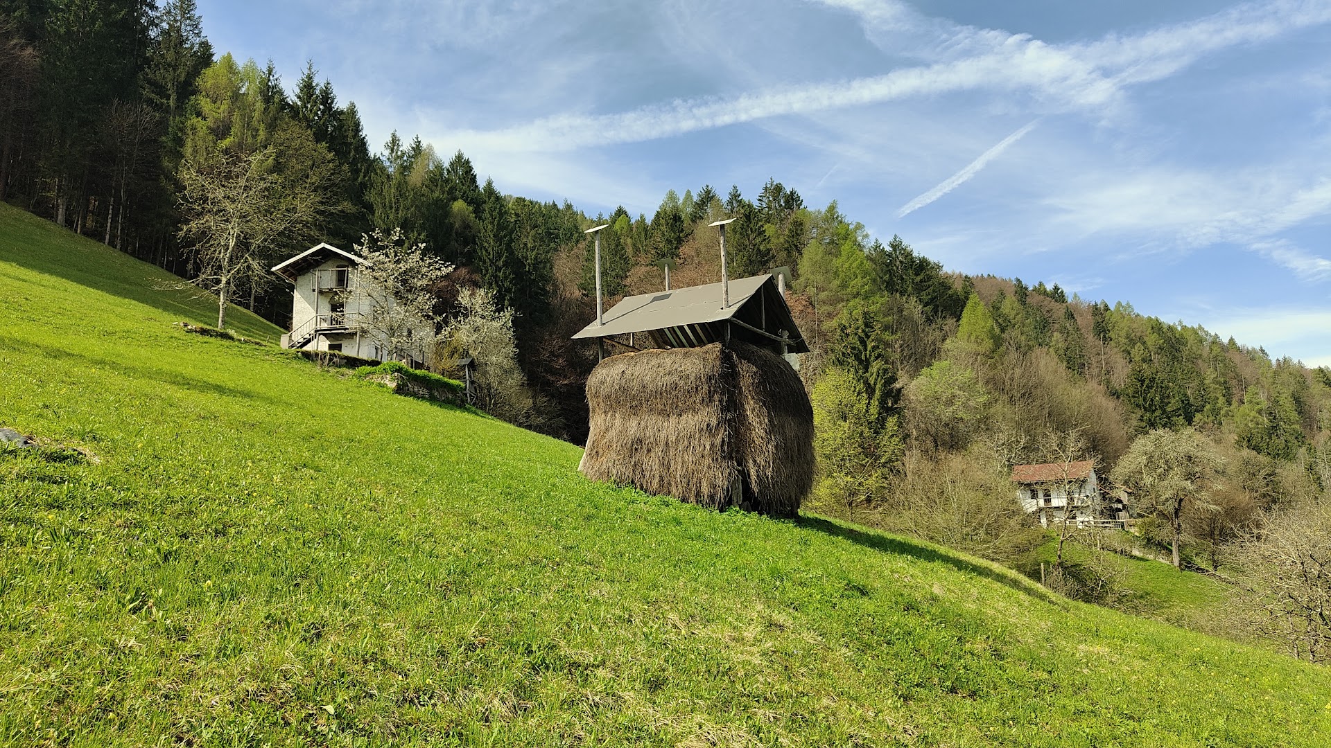 Passerella sul Lago Senaiga