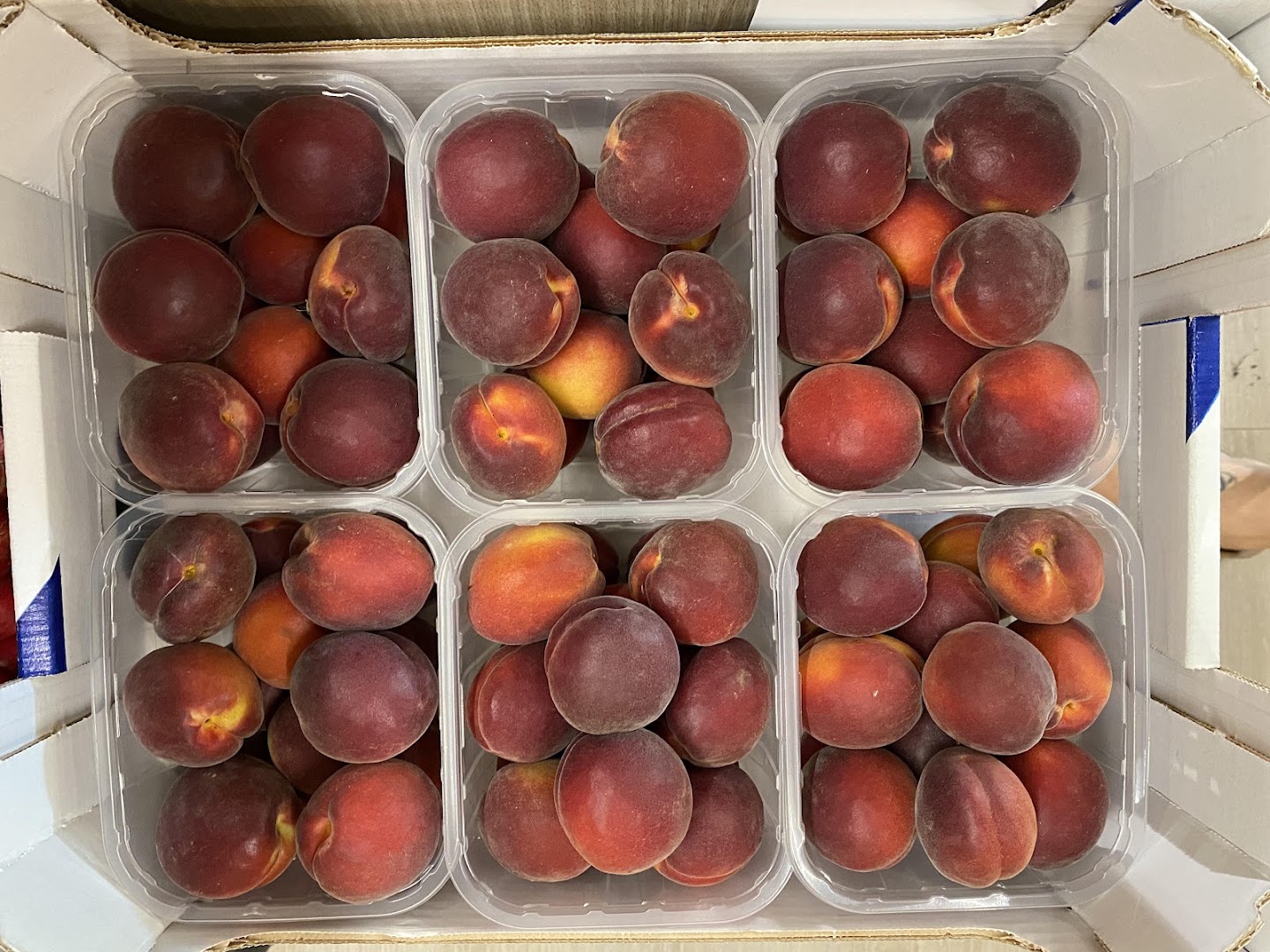 PASSIONE FRUTTA