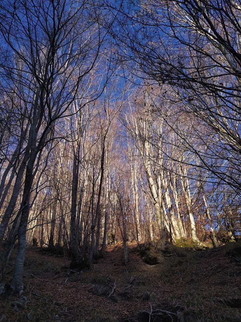 Passo del Fregarolo