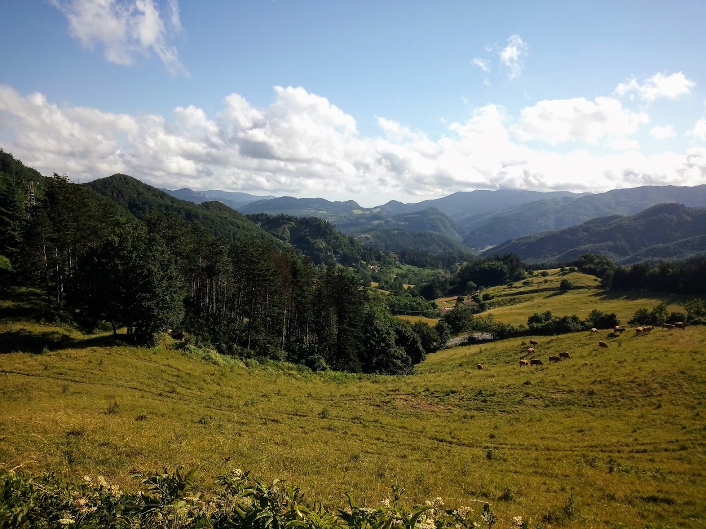 Passo Del Giogo