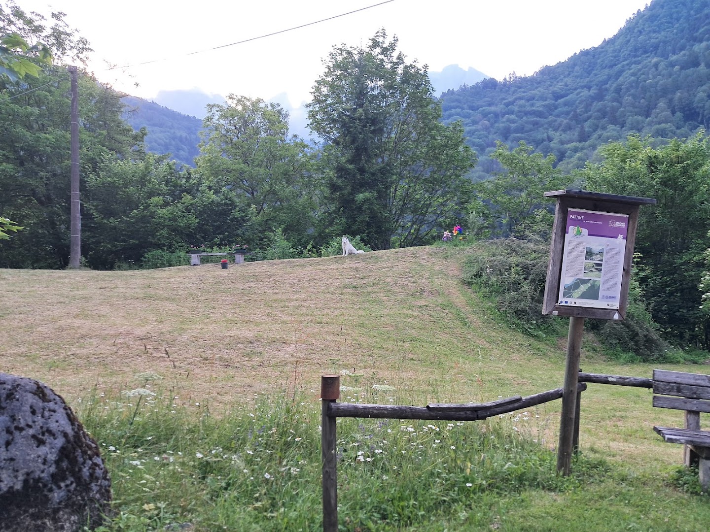 Pattine di Gosaldo, Gosaldo