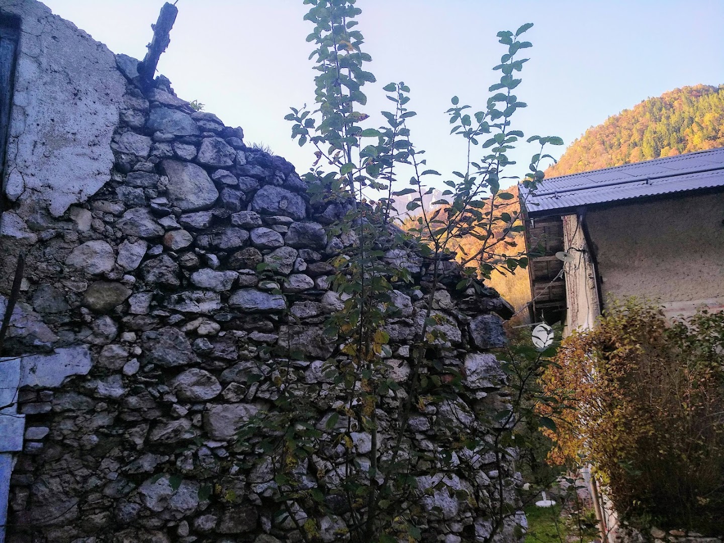 Pattine di Gosaldo