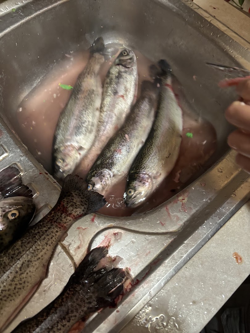 Pesca Sportiva Il Battaglione