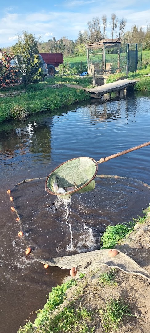 Pesca sportiva la vallata, Cuggiono