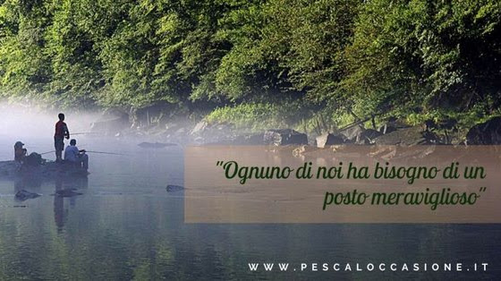 Pescaloccasione - Negozio di pesca, Terni