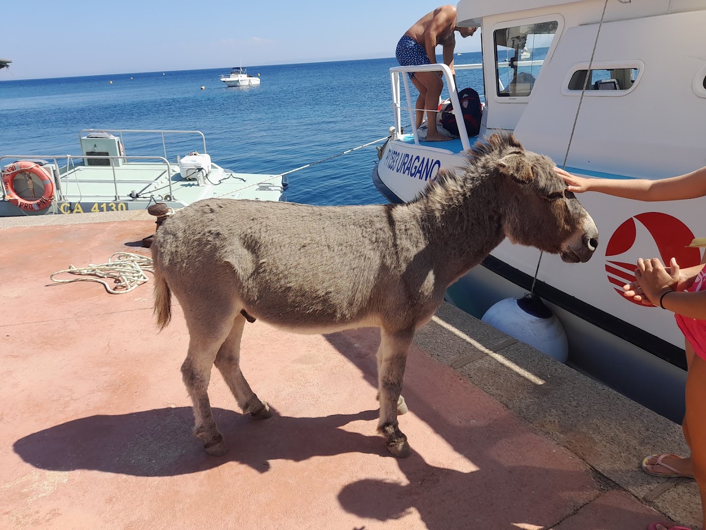Pescaturismo Uragano - Gite in barca all'Asinara