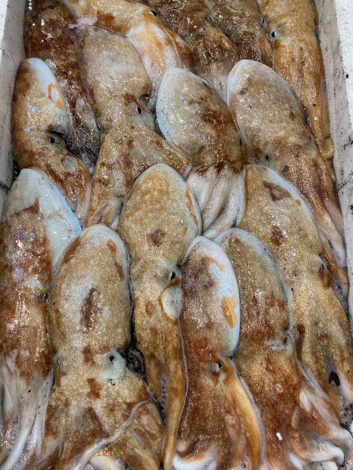Pescheria Bellavista