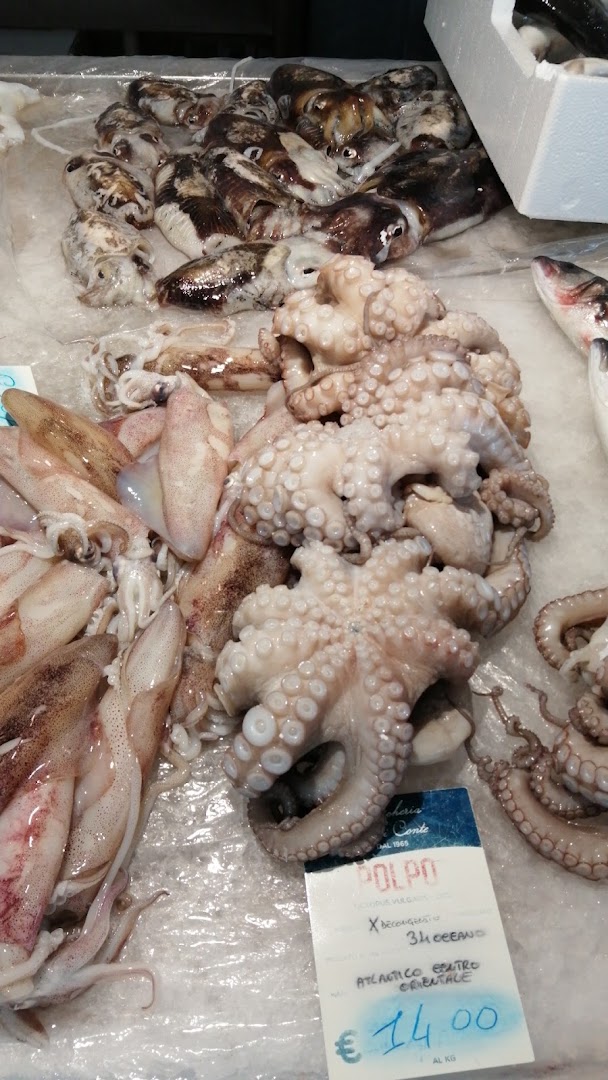 Pescheria Conte 1965