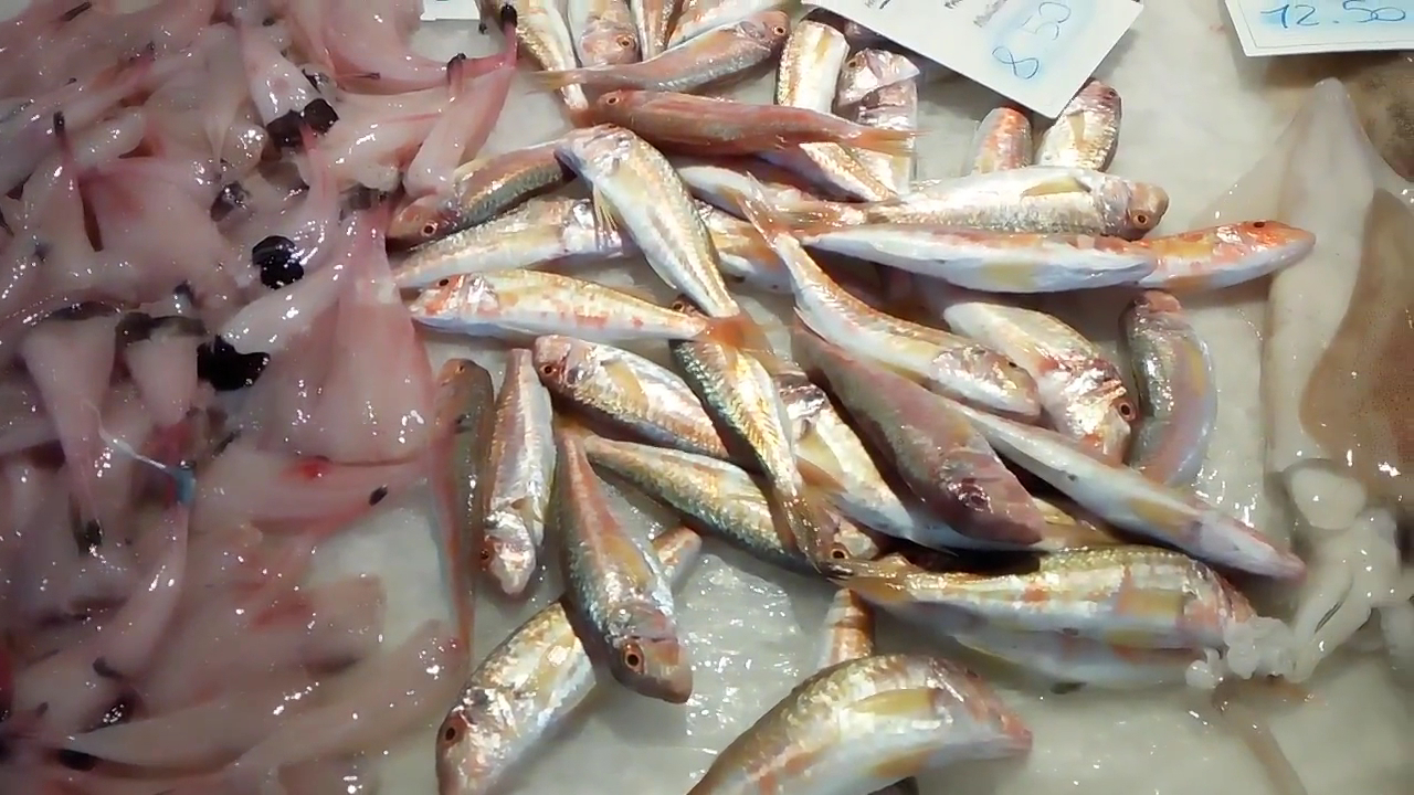 Pescheria Conte 1965
