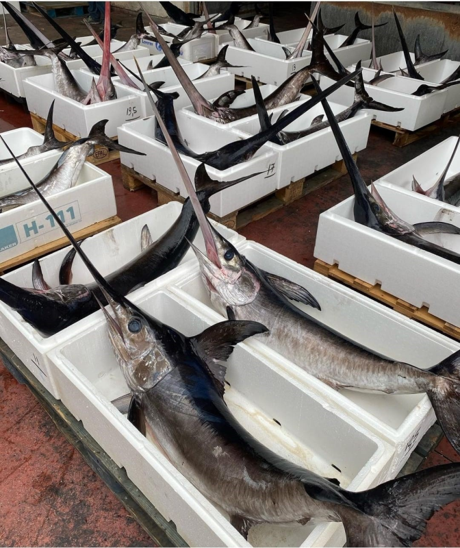 Pescheria da Gerardo