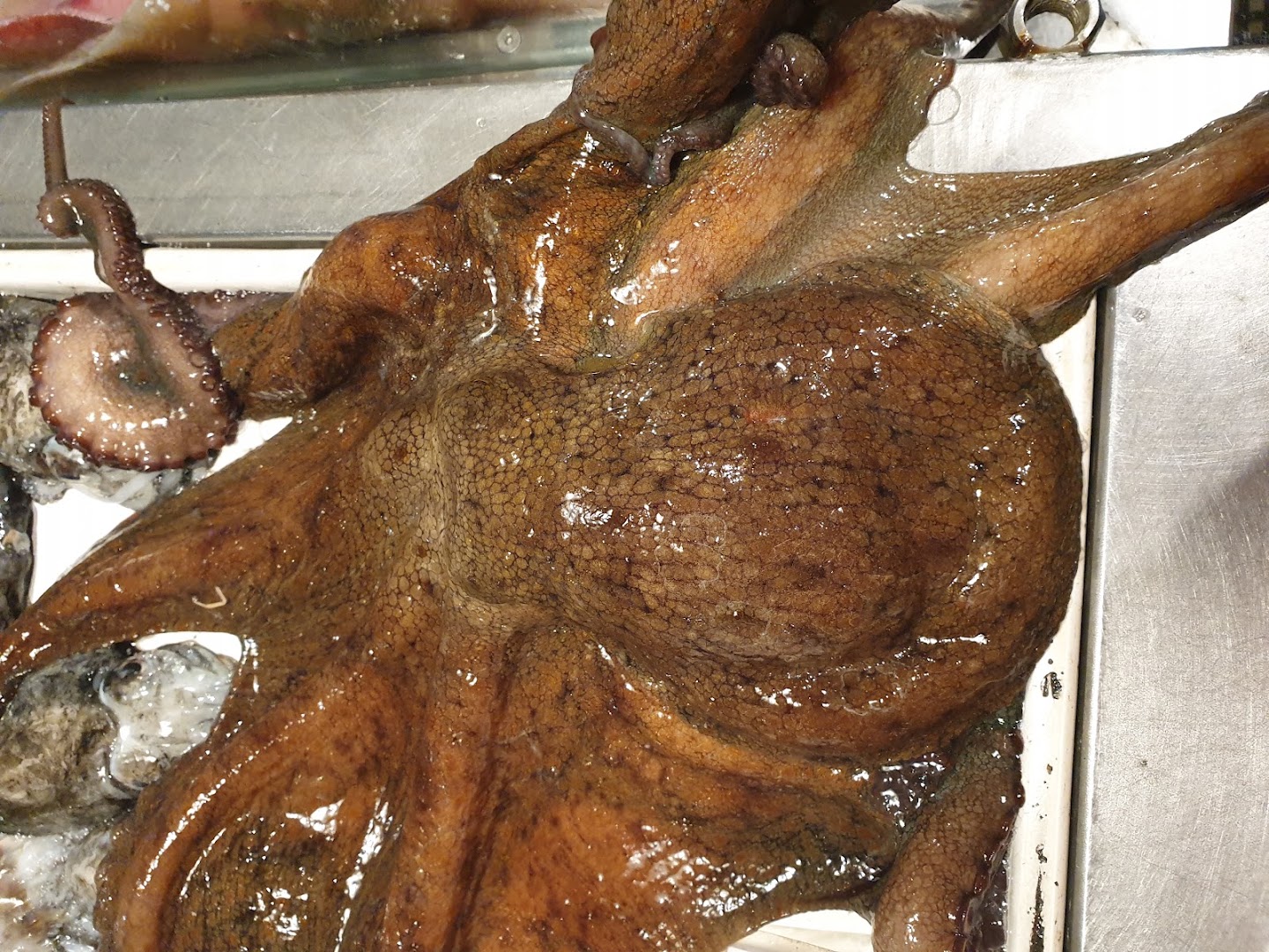 Pescheria Da Zingone fishes, Manfredonia