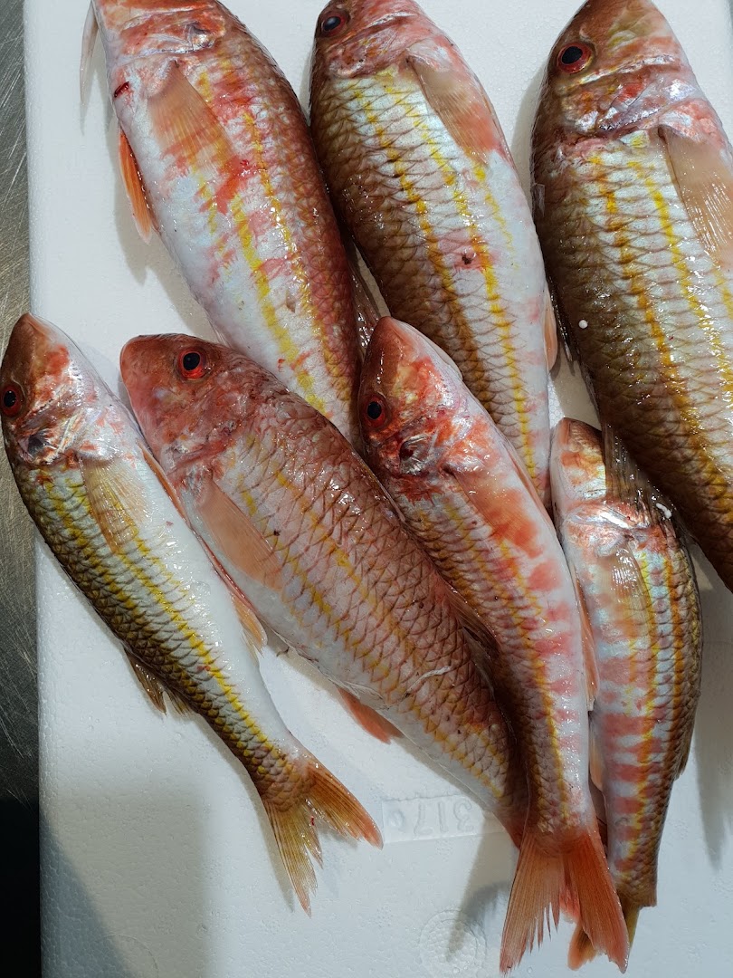 Pescheria Da Zingone fishes