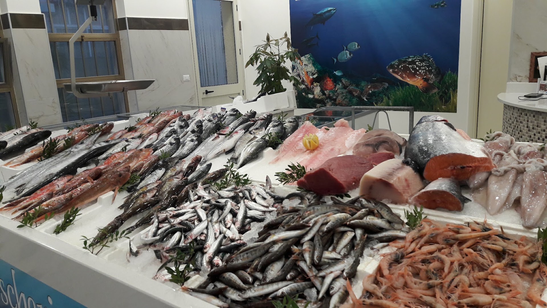 Pescheria Dal Pescatore