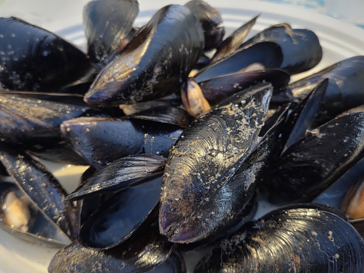 Pescheria del Corso