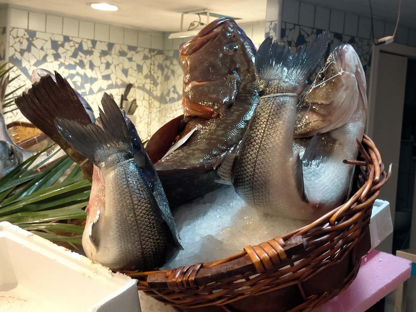Pescheria Enzo Coscia di Passante Anna & C. Sas
