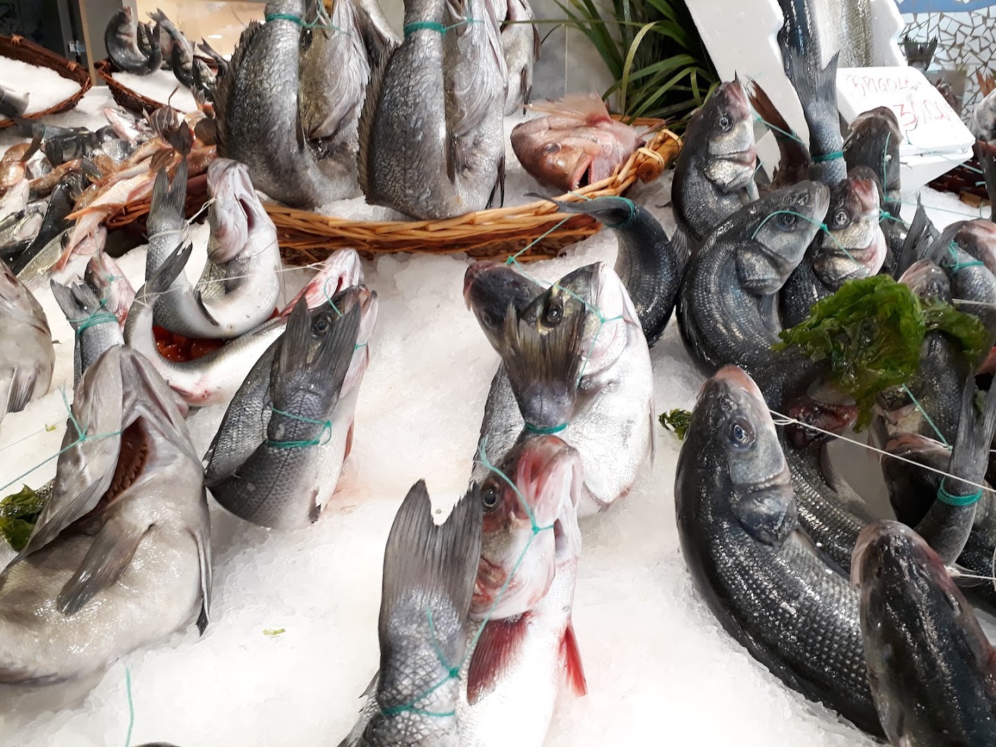 Pescheria Enzo Coscia di Passante Anna & C. Sas, Salerno