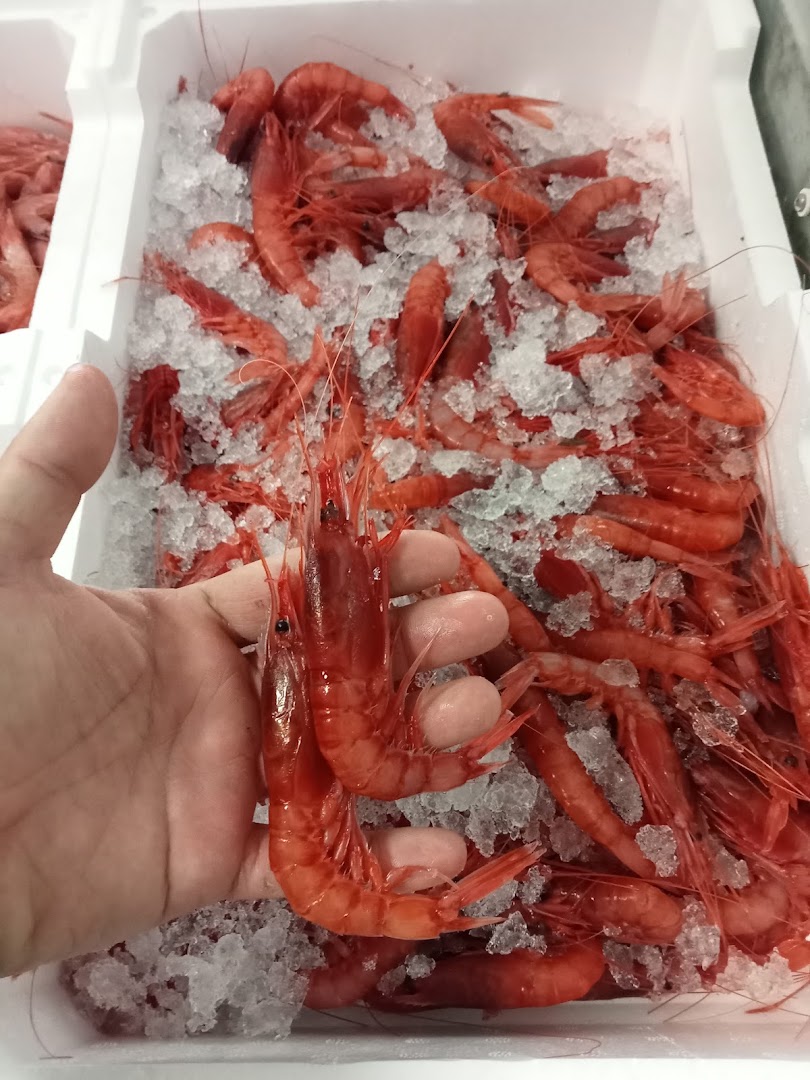 Pescheria Friggitoria Dommy Fish