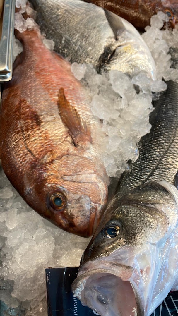 PESCHERIA GAGLIONE