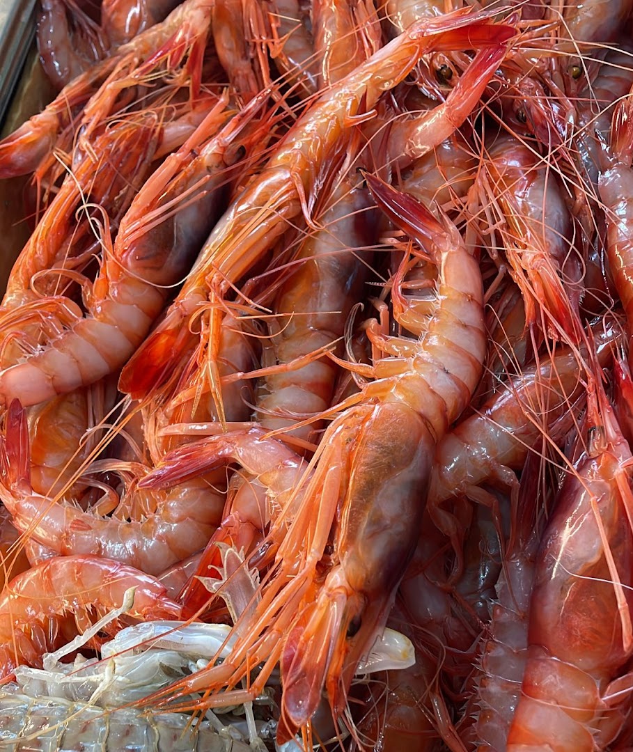 PESCHERIA GAGLIONE