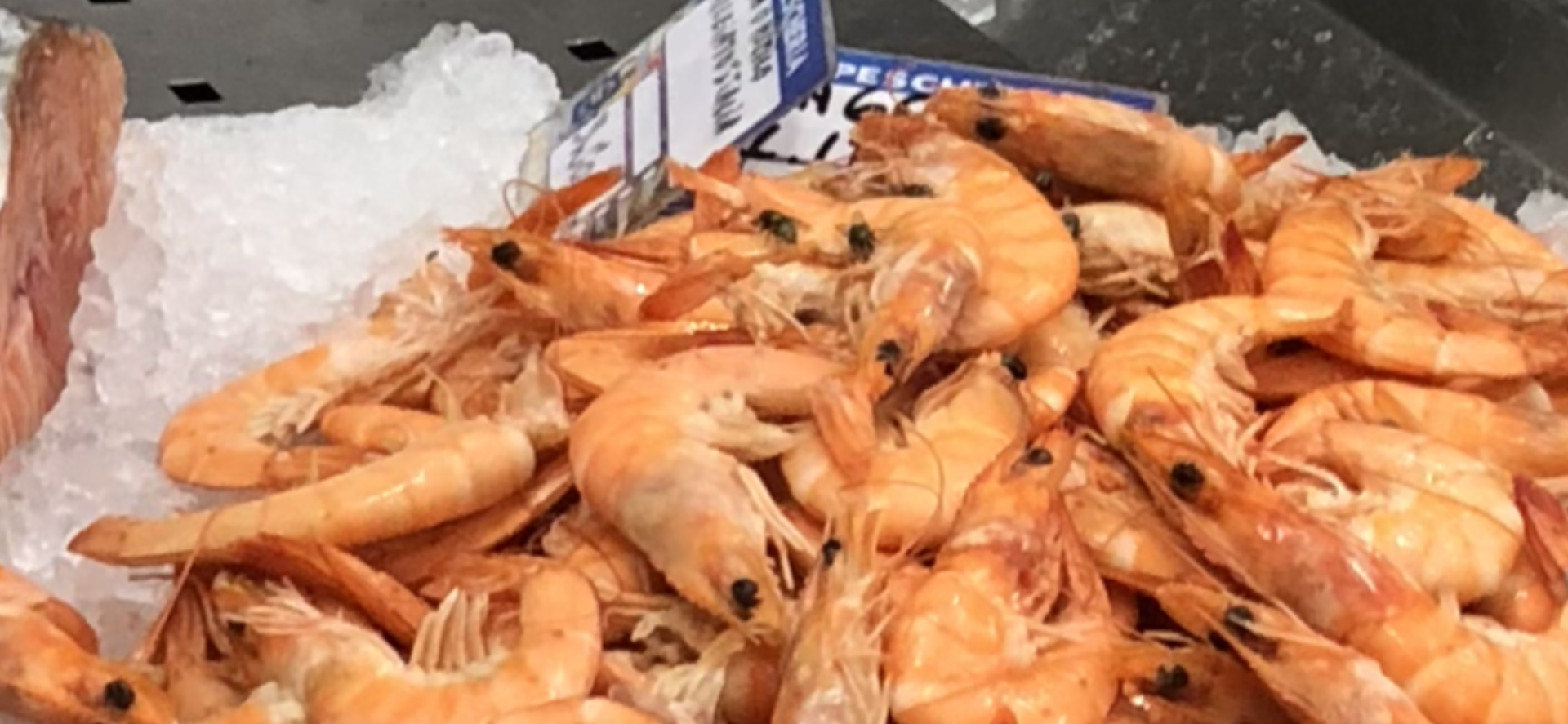 Pescheria Gastronomia Abissi