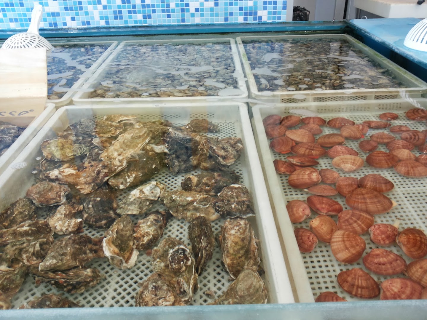 Pescheria & Gastronomia del Pesce Egan Mar - Di Biase Giuseppe Infernetto
