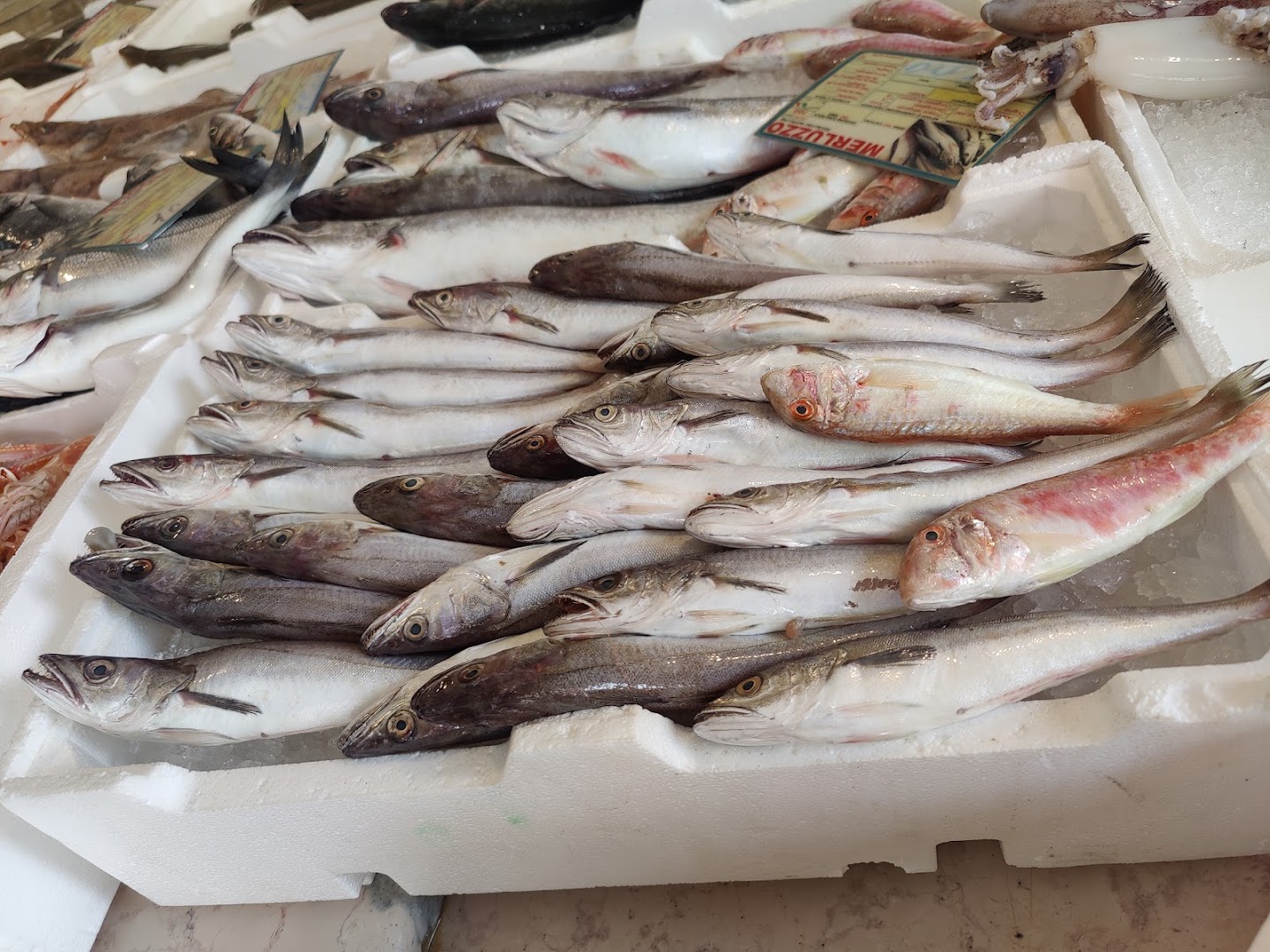 Pescheria Gelao (dal 1980)